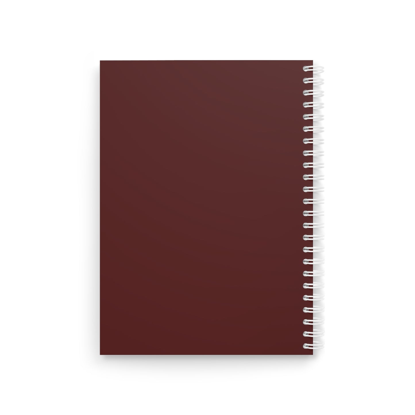The SAUCY Notebook
