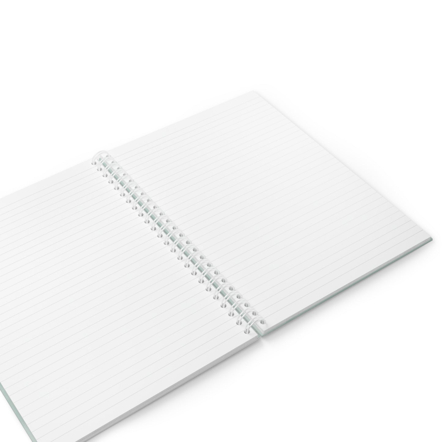 BABE Notebook